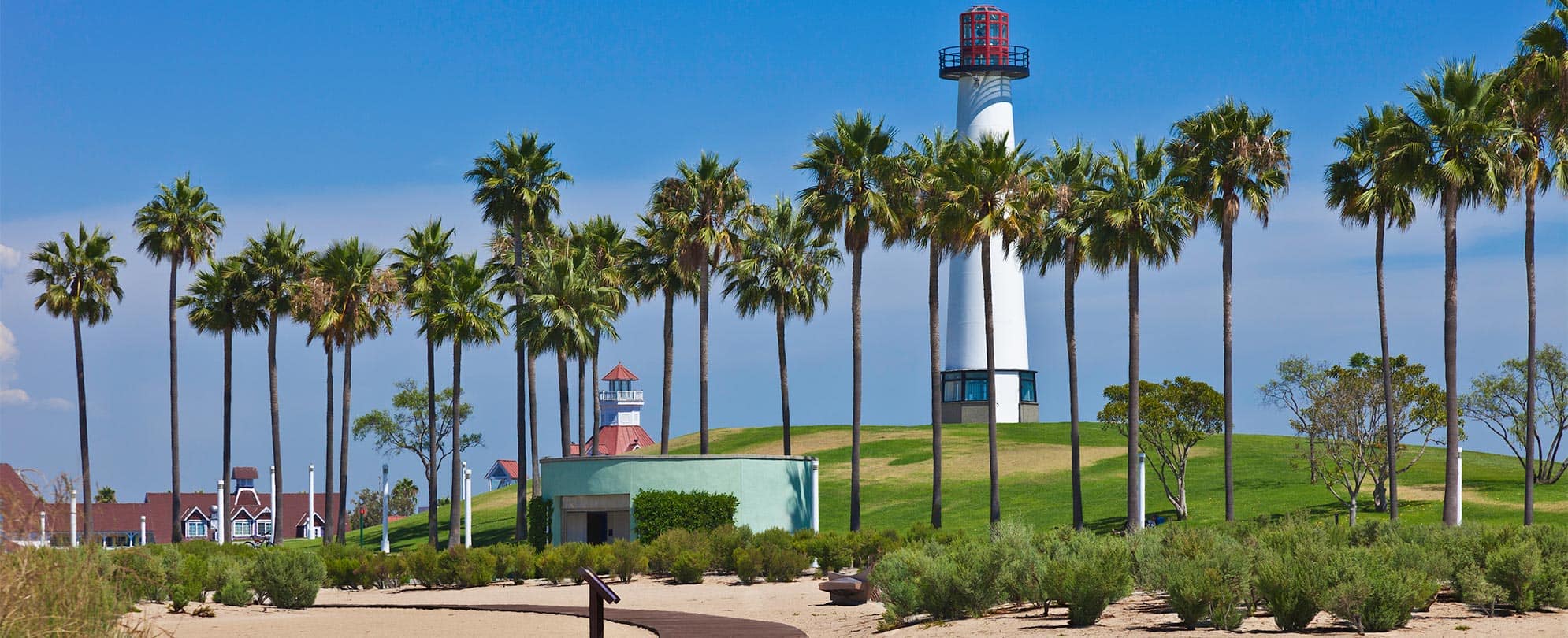 A lighthouse behind a row of palm trees at the Long Beach Harbor in California.