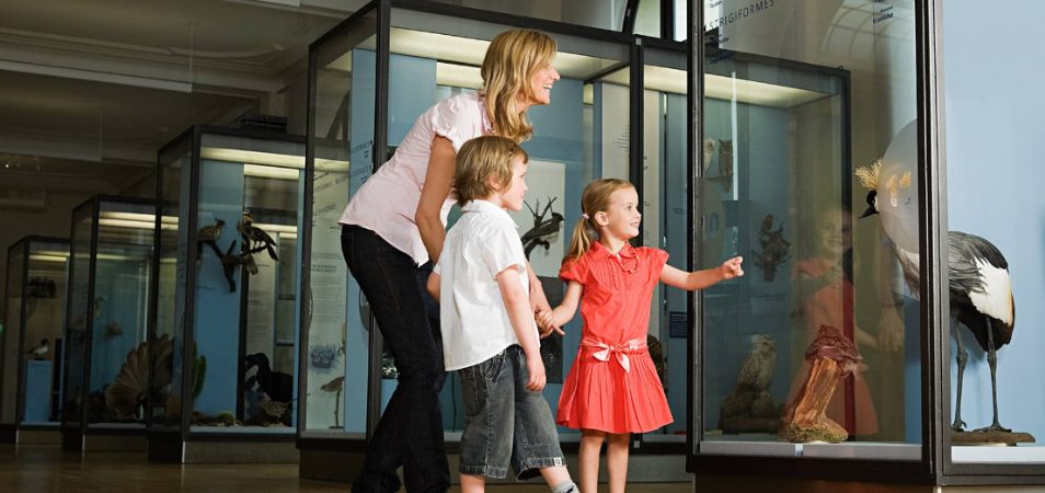 A smiling mom and her son and daughter look through the glass of a museum exhibit.