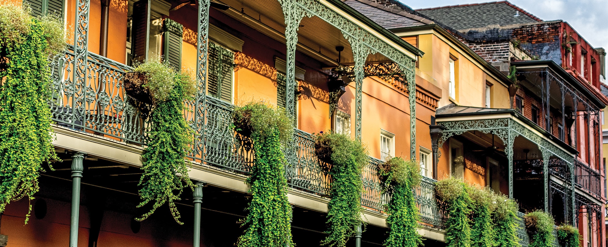 New Orleans French Quarter balconies with plants . 