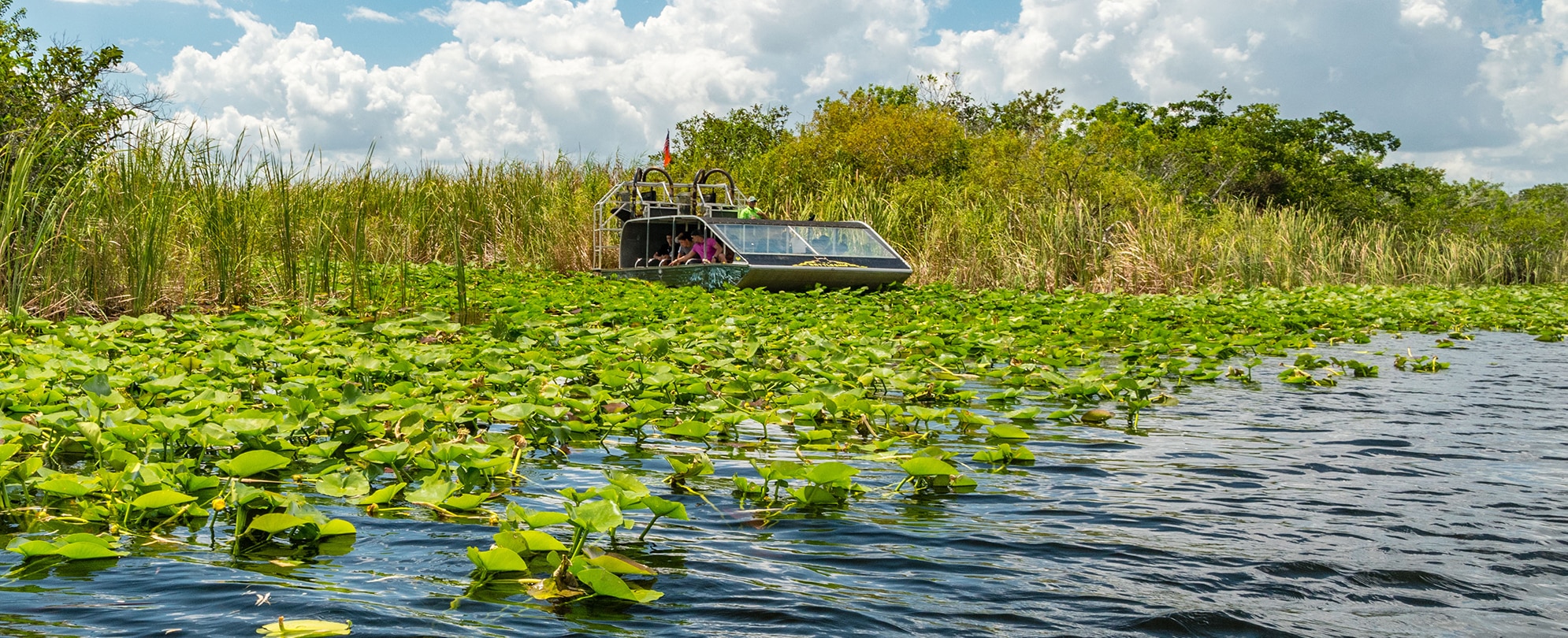 Airboat tour in Eveglades national park, Florida, USA