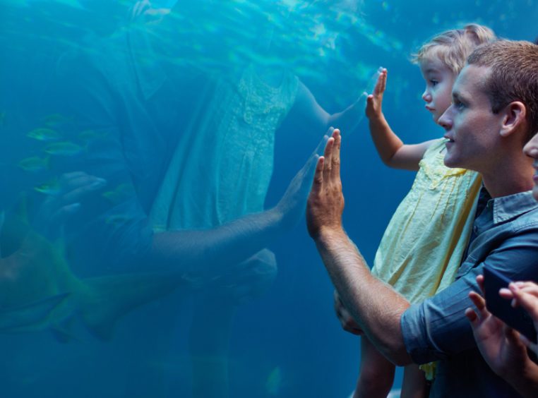 A family of three looks into a aquarium tank filled with fishes.