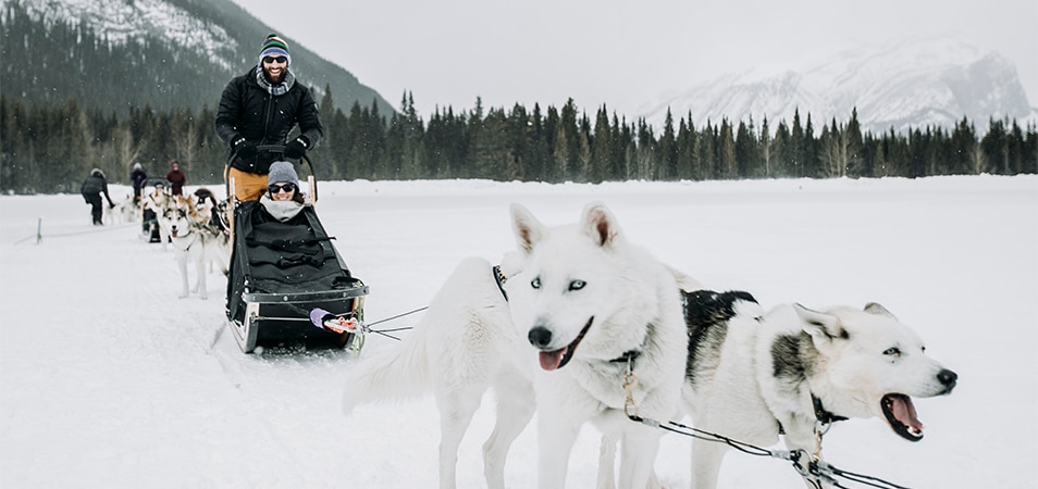 A couple dog sledding in the snowy mountains.