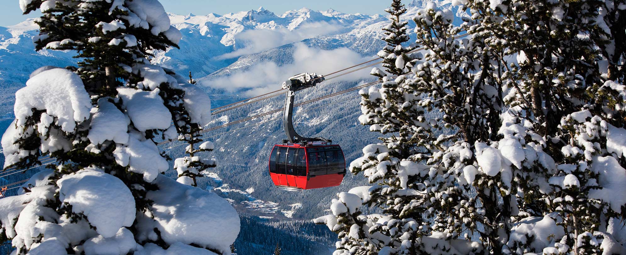A red gondola is hanging between snowy trees and a mountain background.