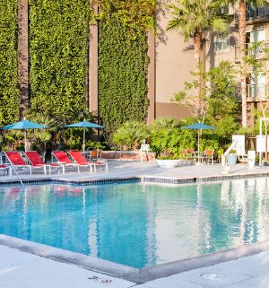 An outdoor pool surrounded by lounge chairs at WorldMark /Club Wyndham Anaheim, a timeshare resort in California.