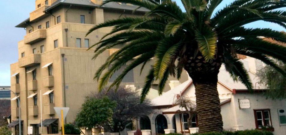 A palm tree and the front building of Club Wyndham Perth in Western Australia
