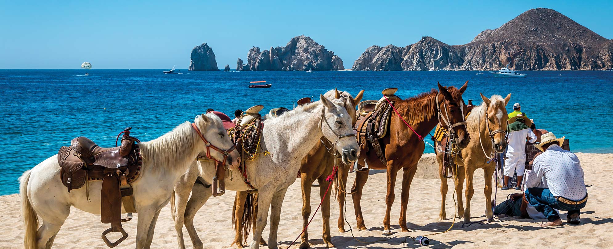 A group of saddled horses on a beach in the Caribbean.
