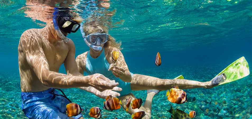 A man and woman snorkeling underwater surrounded by tropical fish.