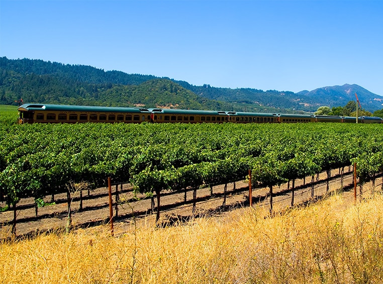 The Napa Valley Wine Train passing through a vineyard.