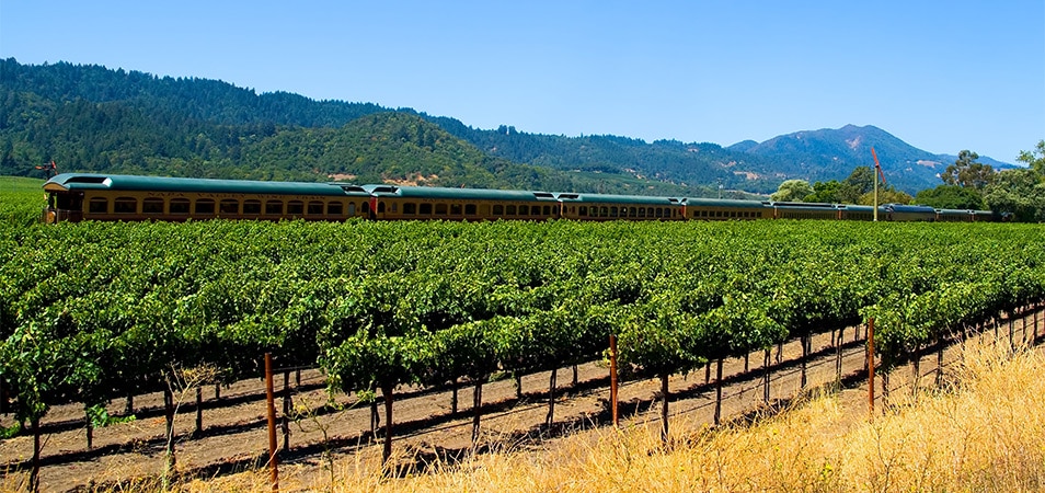 The Napa Valley Wine Train passing through a vineyard.