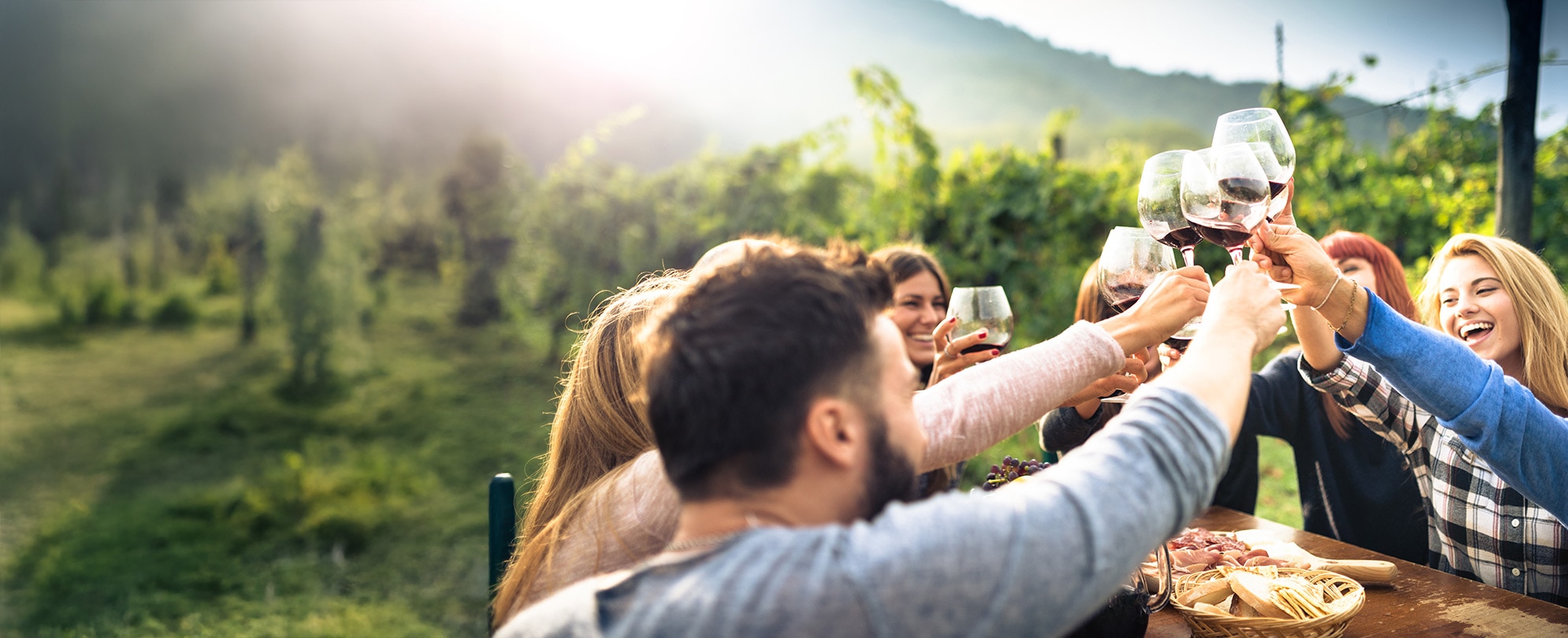 A group of friends clink glasses of wine at a vineyard, surrounded by lush greenery and a stunning landscape.