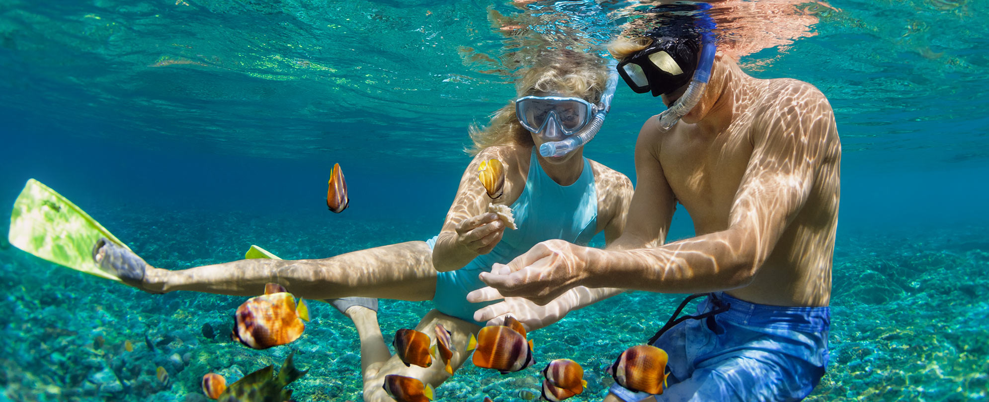 A man and a woman snorkeling underwater surrounded by tropical fish during their Caribbean cruise.