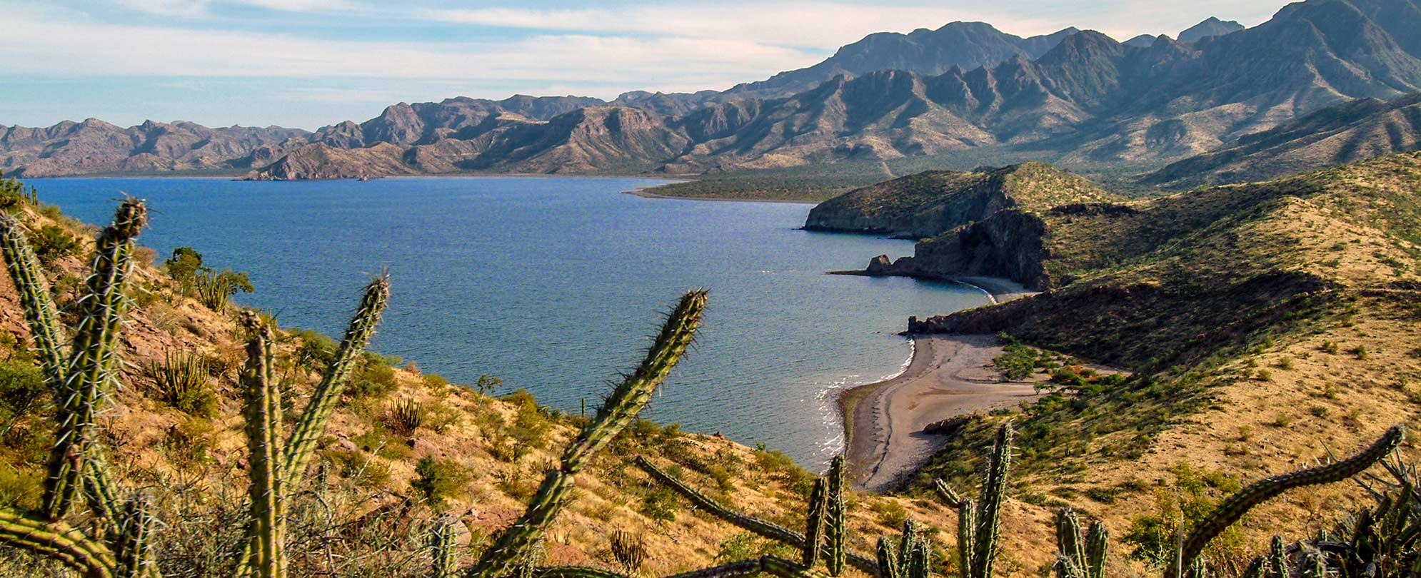 The Baja California Sur