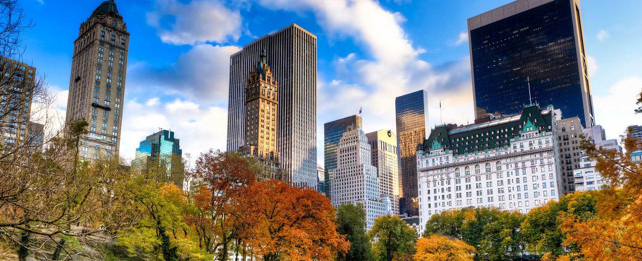 Hidden Cash craze hits New York's Central Park