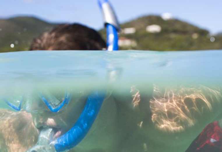 A man snorkeling underwater in the Caribbean sea. 