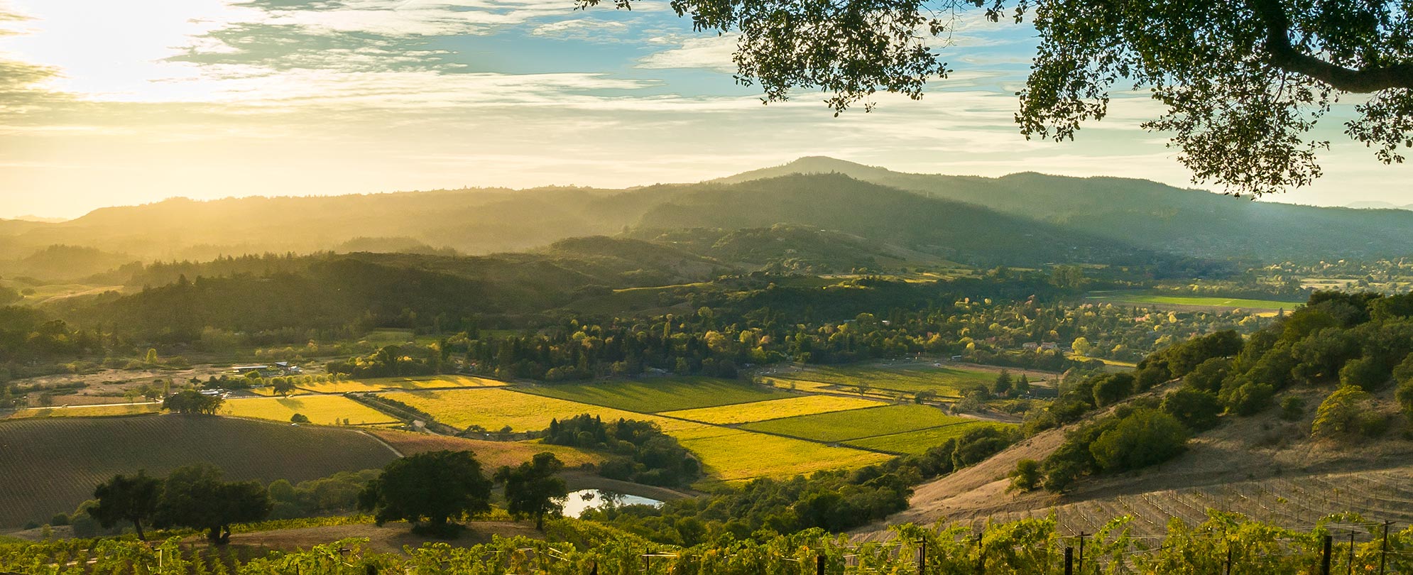 Sunset over Sonoma Valley wine country in California.